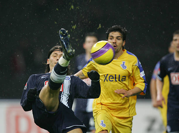 尼克斯需要 尼克斯需要