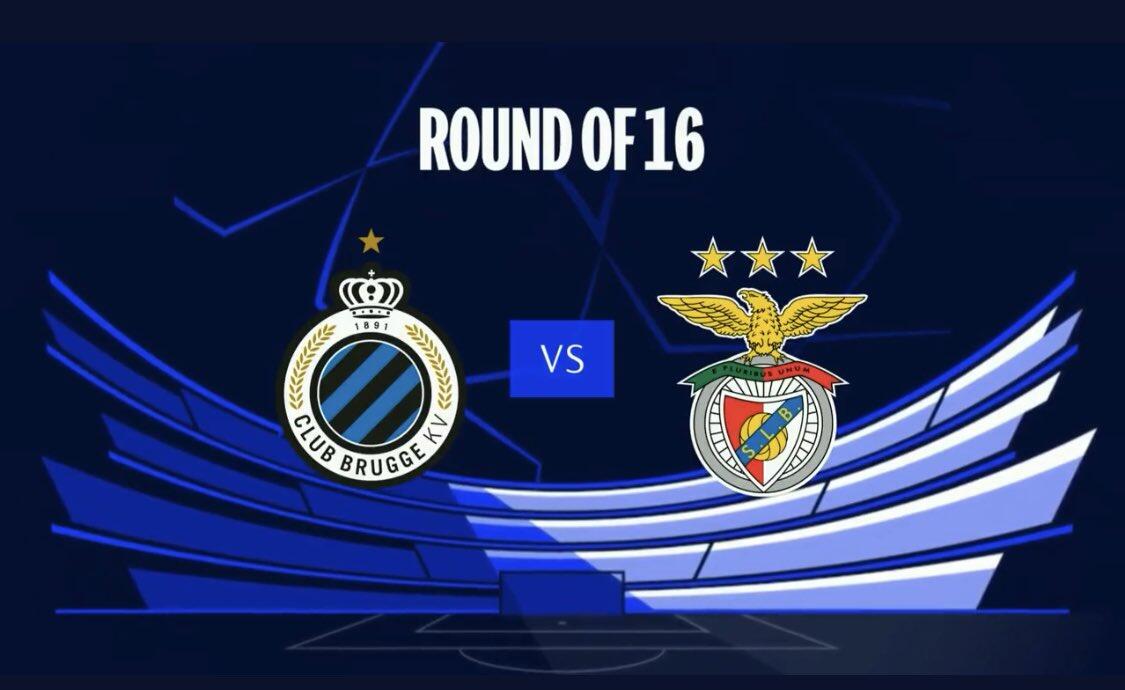 波特兰的比 波特兰的比